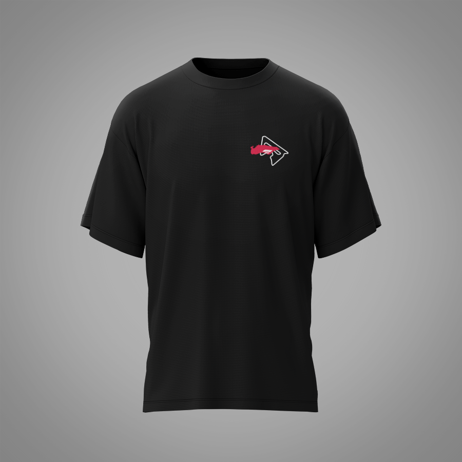 Camisa - GP do Bahrein - Bahrain International Circuit
